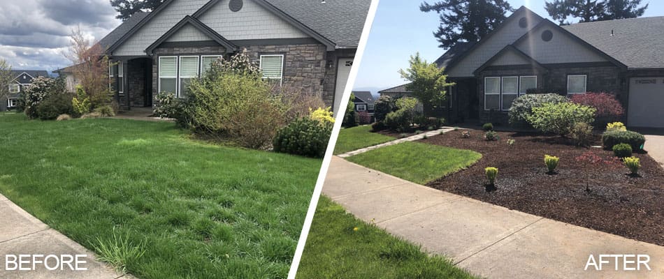 Landscape Services Near Me YouTube Ads: Find Local Clients with Precision